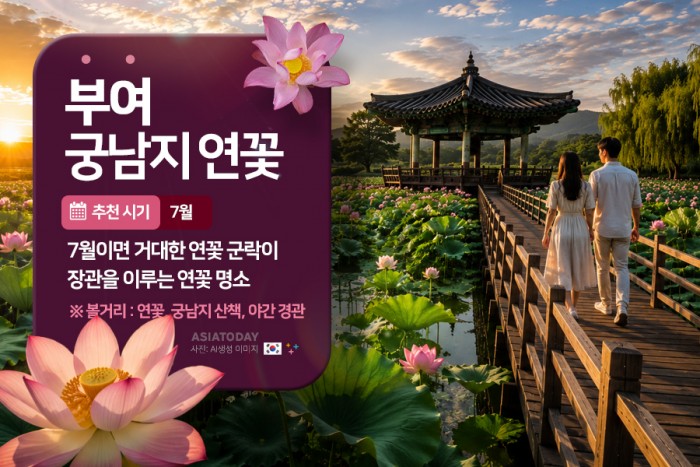 카드 뉴스 이미지