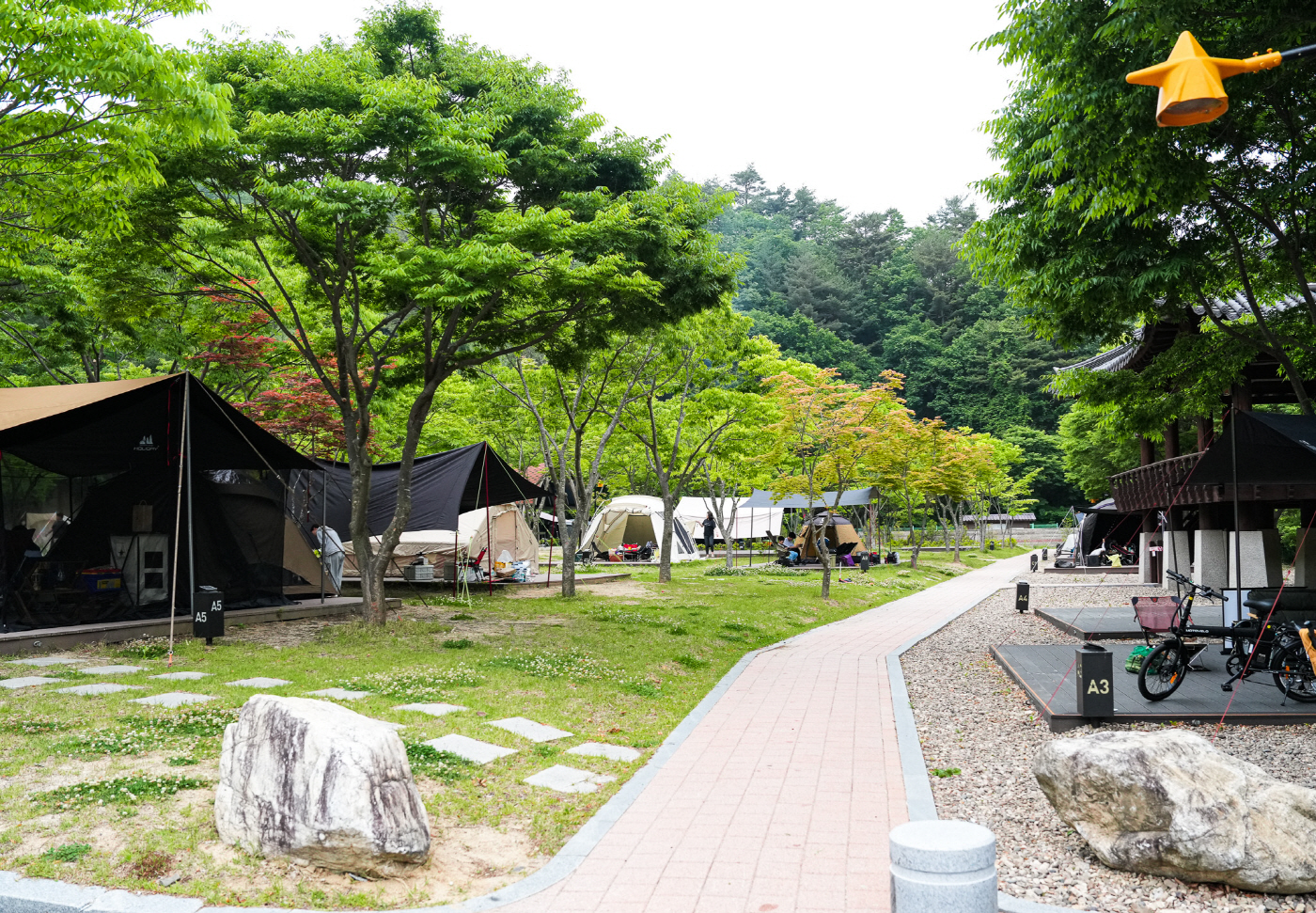 1-3. 사진(계곡과 별이 함께하는 여름휴가는 영양 국제 밤하늘 보호공원)