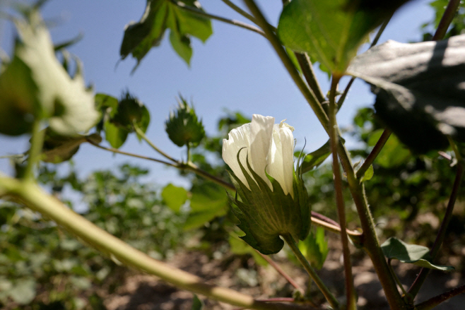 KAZAKHSTAN-CLIMATE-WATER-AGRICULTURE