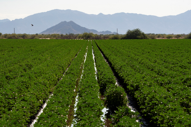 USA-ENVIRONMENT/DROUGHT