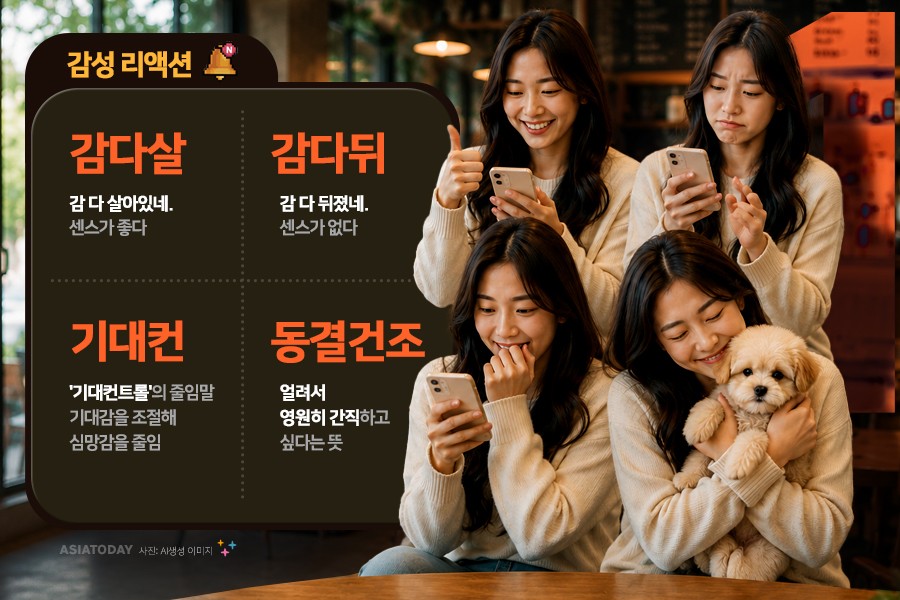 카드 뉴스 이미지
