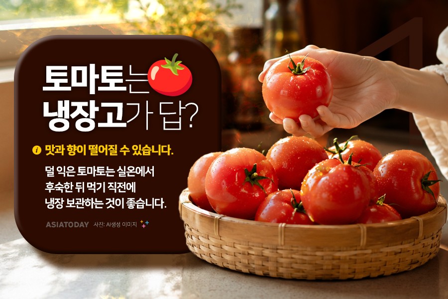 카드 뉴스 이미지