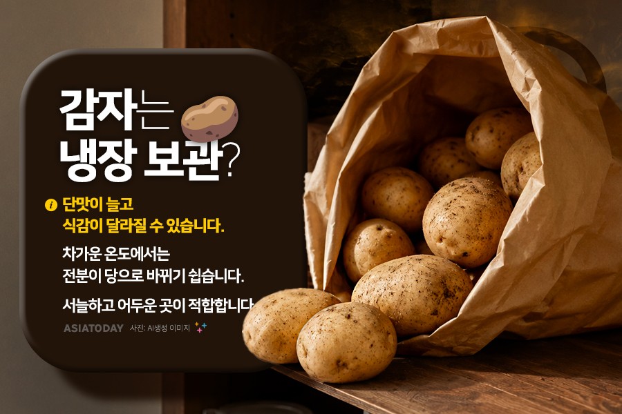 카드 뉴스 이미지