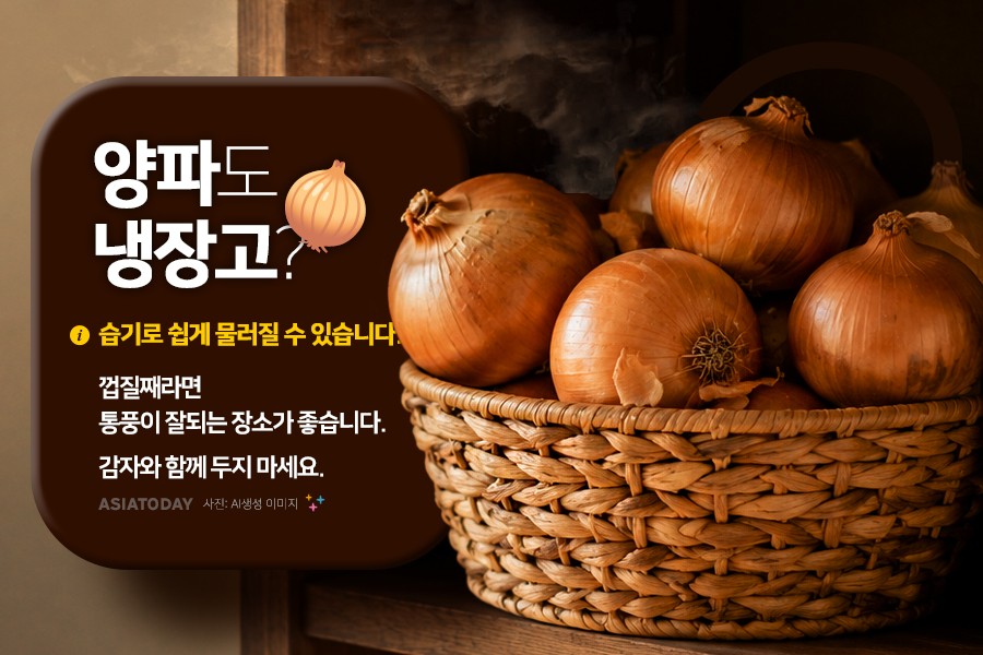 카드 뉴스 이미지