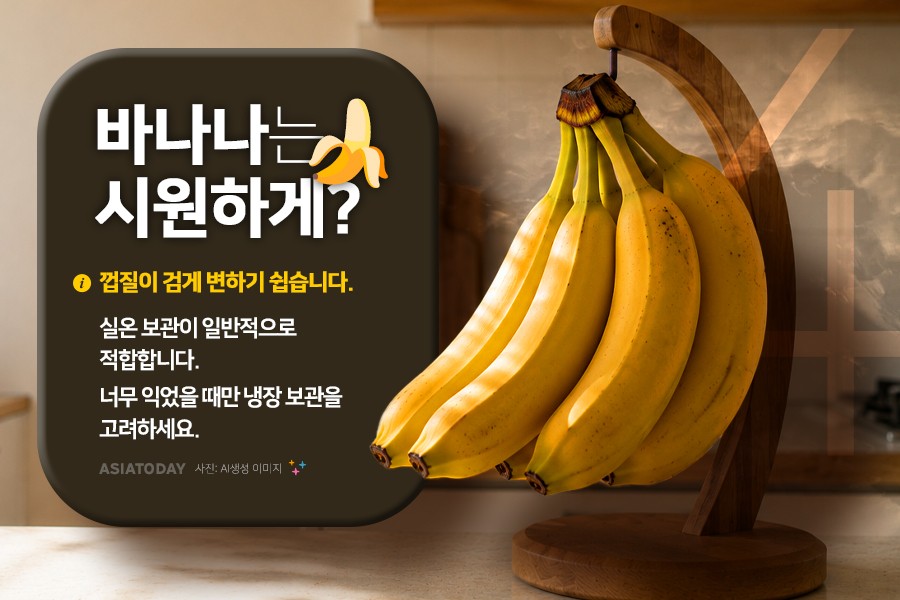 카드 뉴스 이미지