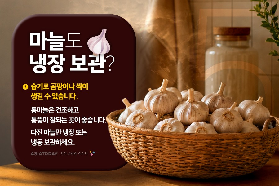 카드 뉴스 이미지
