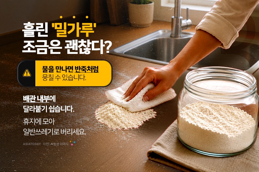 카드 뉴스 이미지