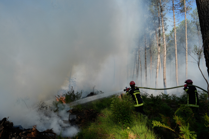 France Wildfires