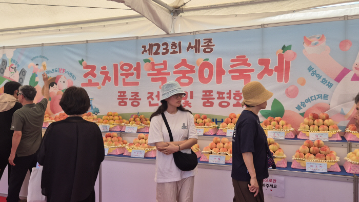 세종시 복숭아축제