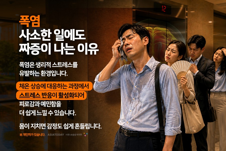 카드 뉴스 이미지