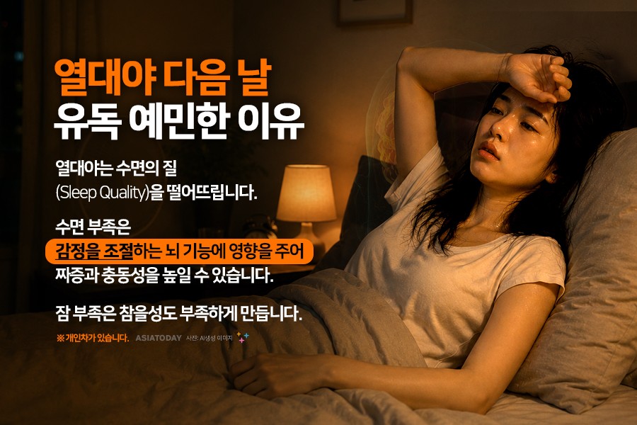 카드 뉴스 이미지