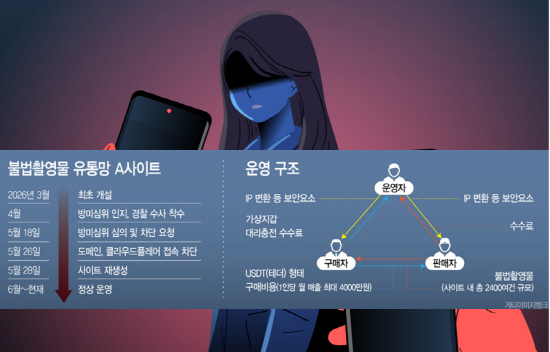 그래픽12