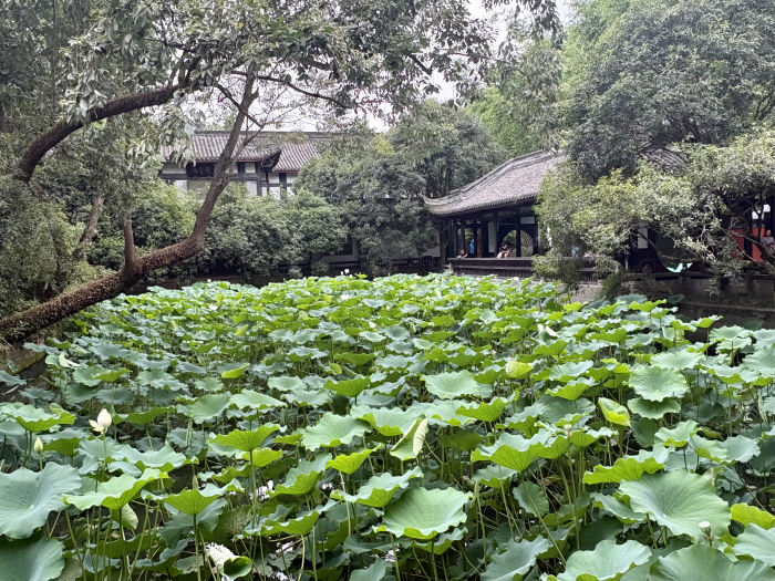 KakaoTalk_20260804_132642554