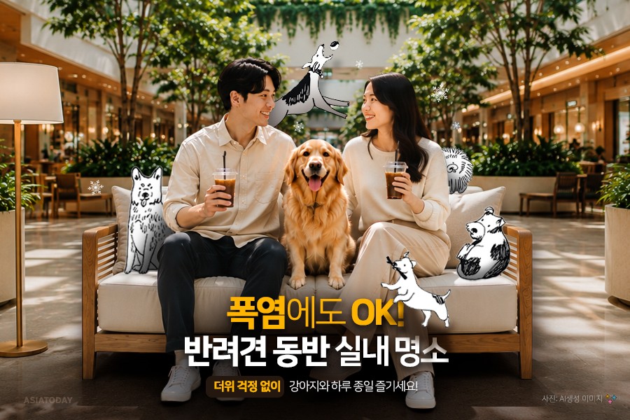 카드 뉴스 이미지