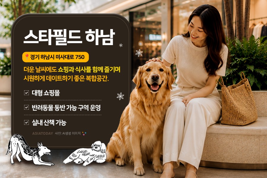 카드 뉴스 이미지