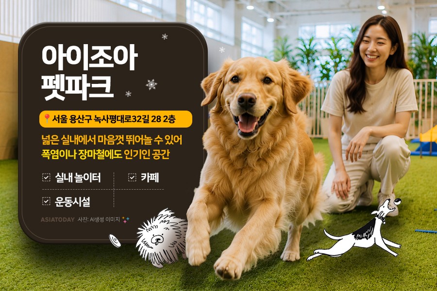 카드 뉴스 이미지