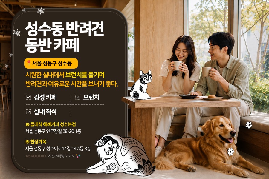 카드 뉴스 이미지