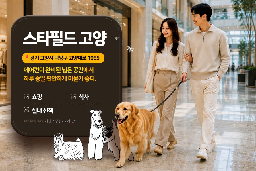 카드 뉴스 이미지