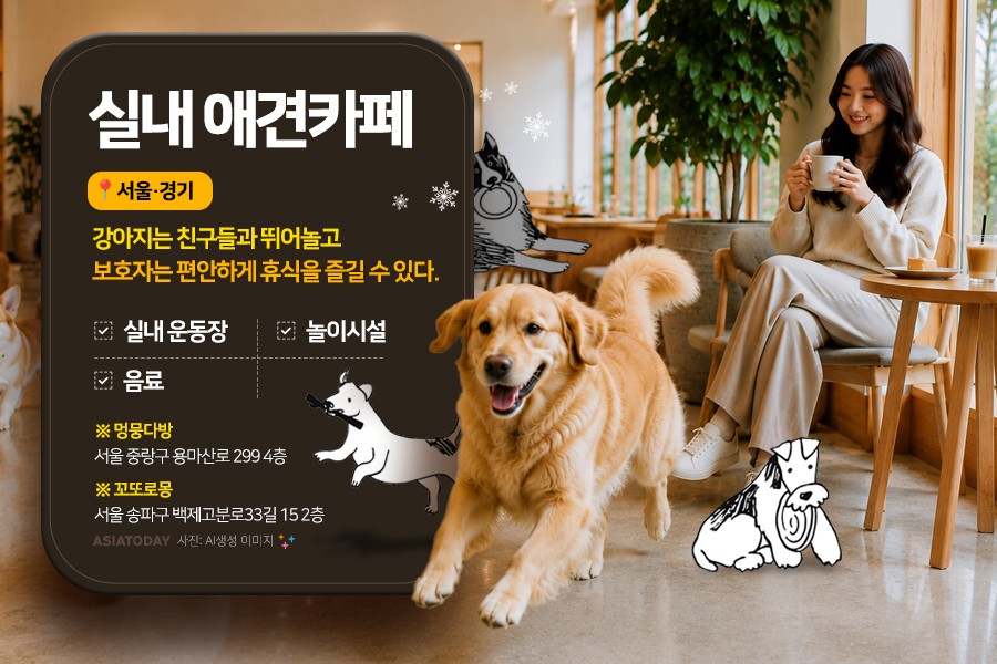 카드 뉴스 이미지