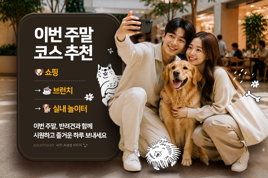 카드 뉴스 이미지