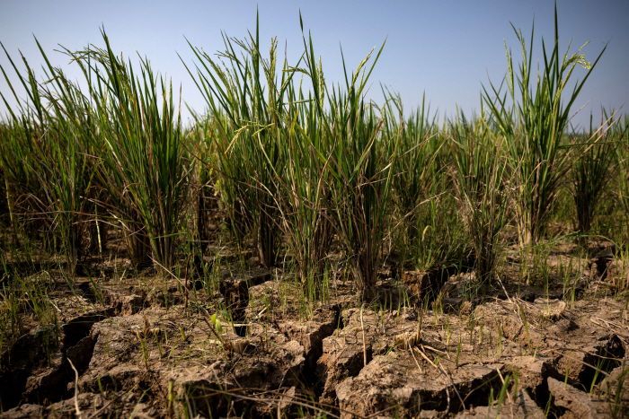 EUROPE-WEATHER/ELNINO-HUNGER