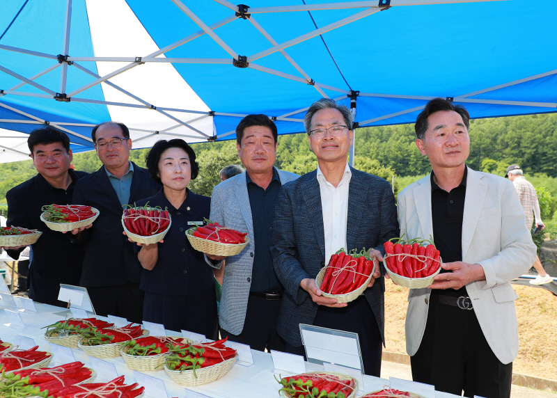 2026년 고추품평회 (2)
