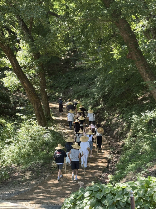 충남교육청 교원 치유 지원 캠프