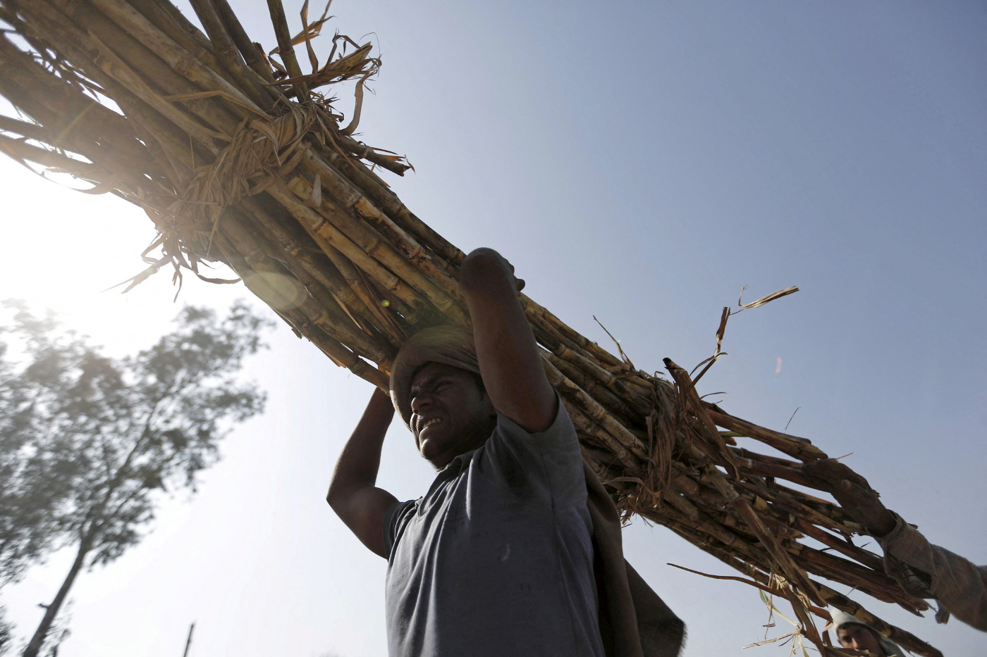 INDIA-FUEL/ETHANOL-SUGAR <YONHAP NO-3544> (REUTERS)