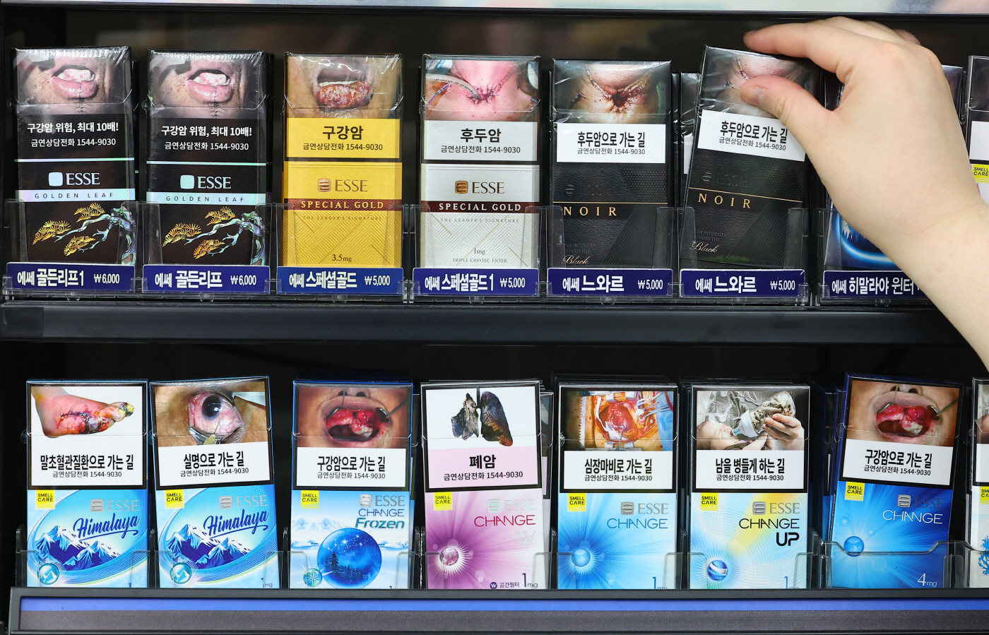 하루 앞으로 다가온 '500억 담배소송' 항소심 최...<YONHAP NO-3785>