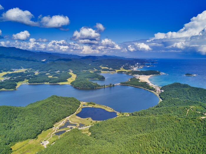 화진포 전경(메인)
