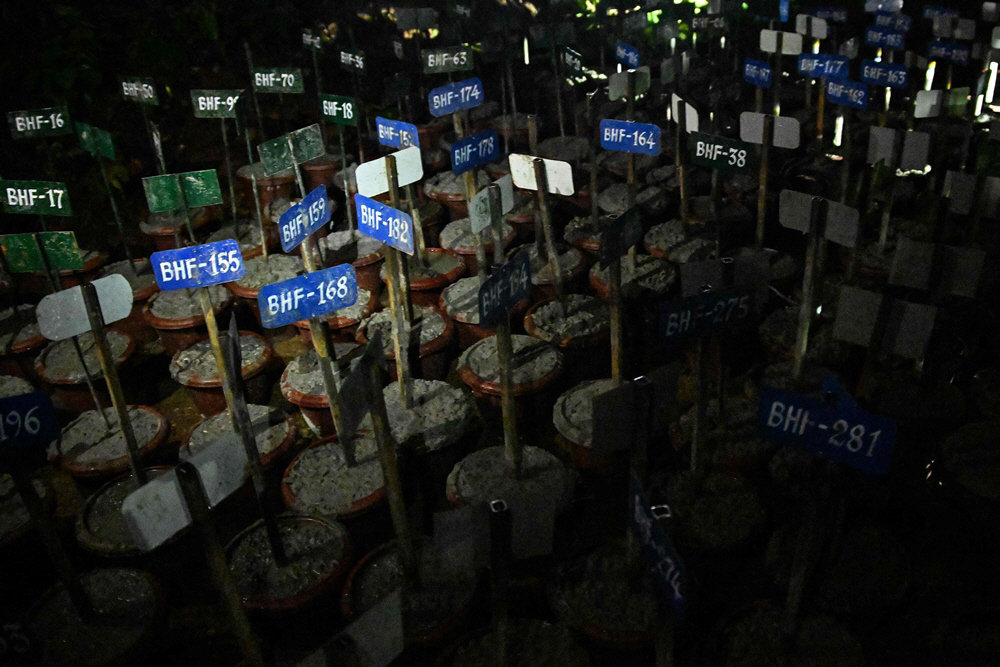 NEPAL-DISASTER-FLOOD <YONHAP NO-0269> (AFP)