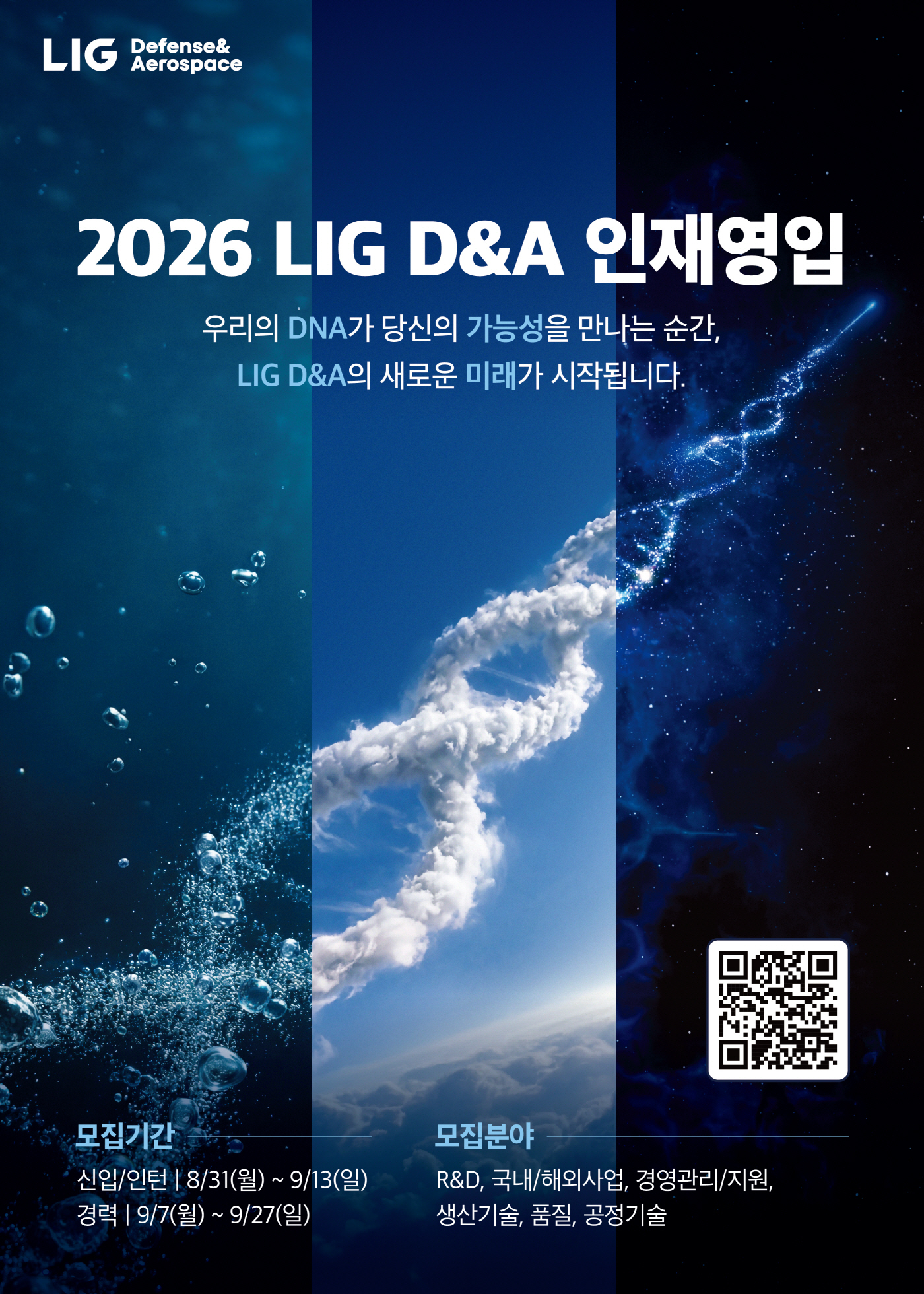 LIG D&A