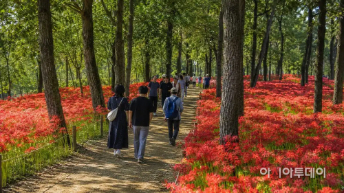 불갑산