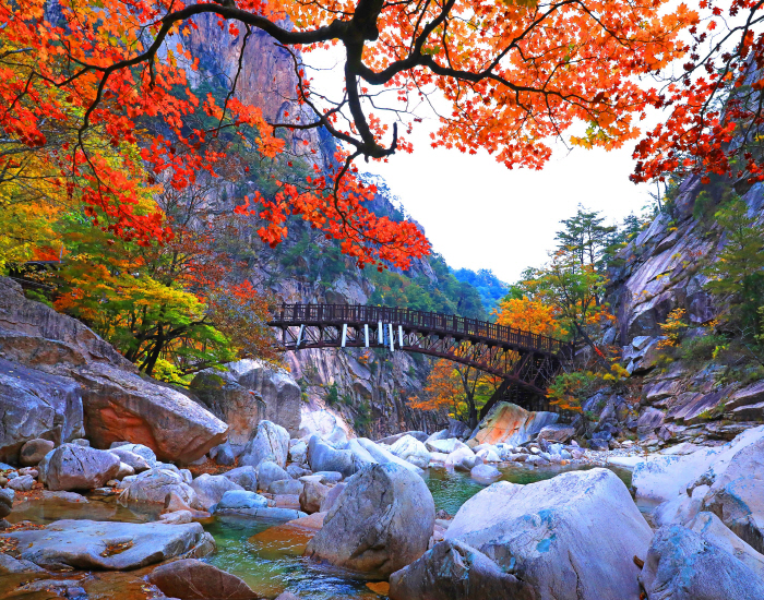 설악산 가을 비경