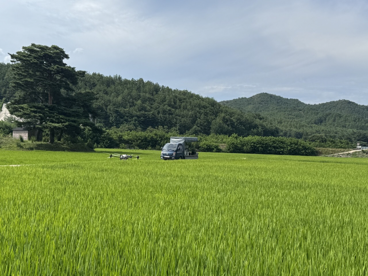 삼척시 방제