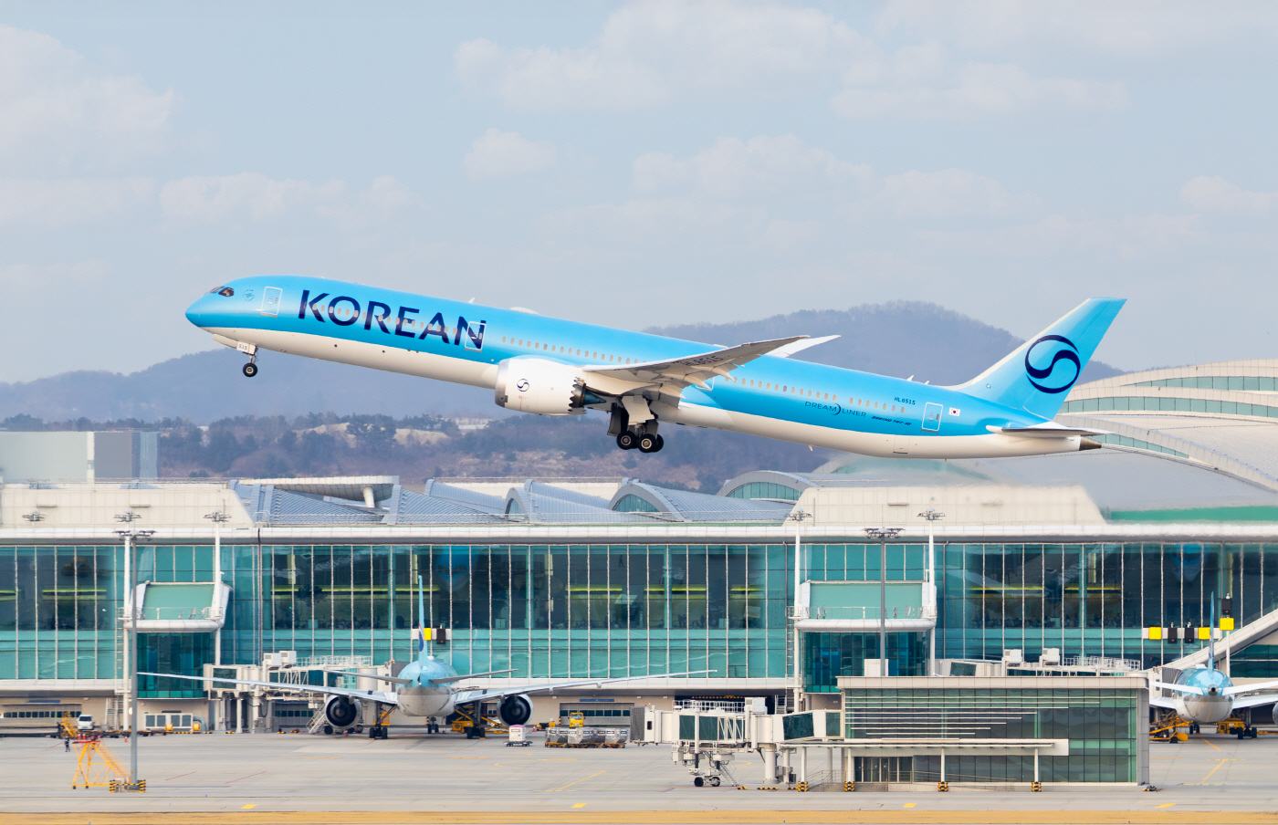 신규도장 HL8515