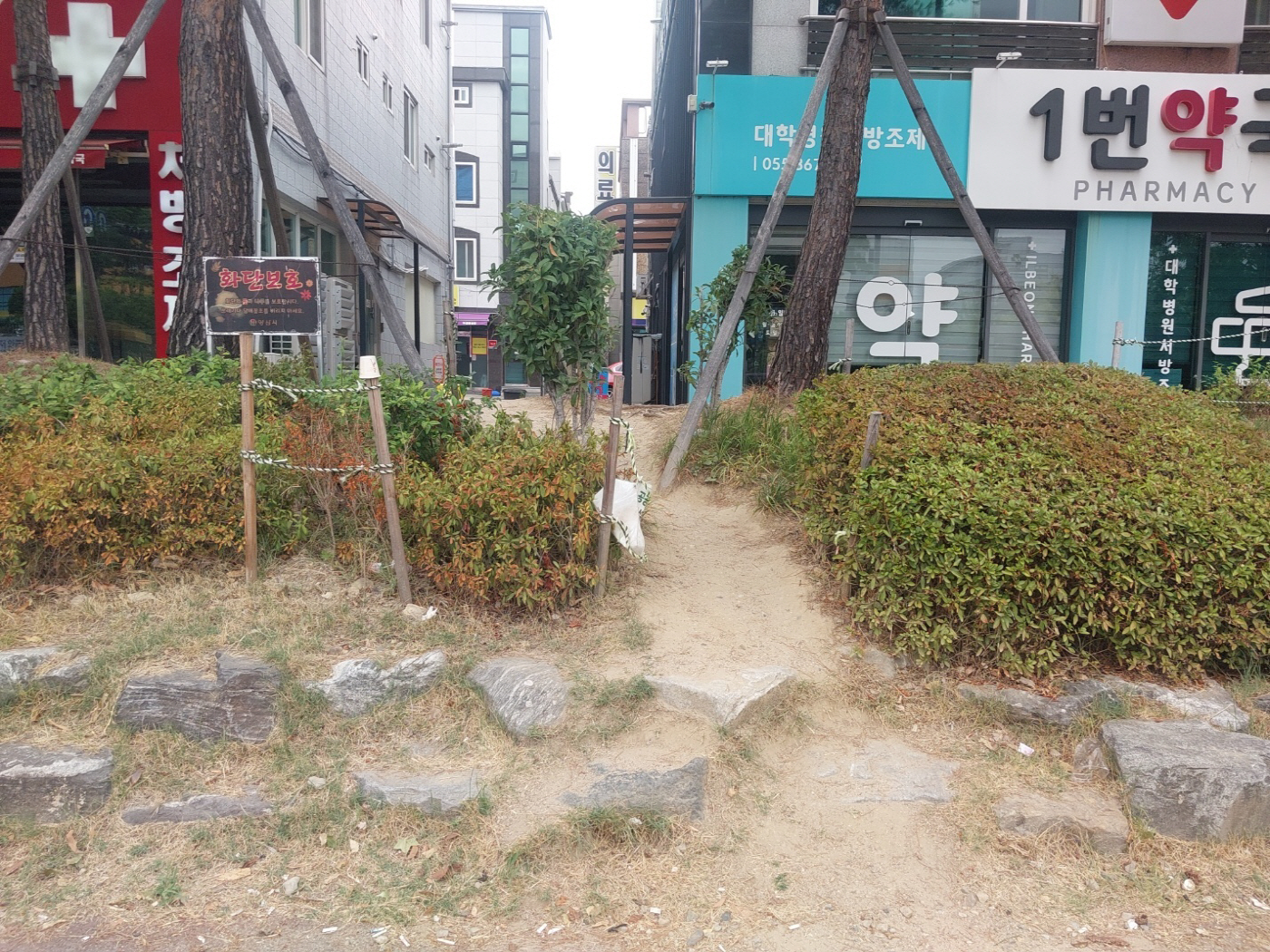 사진 3
