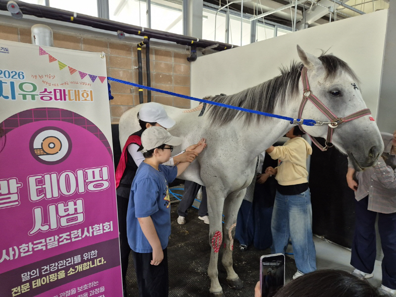 치유승마1