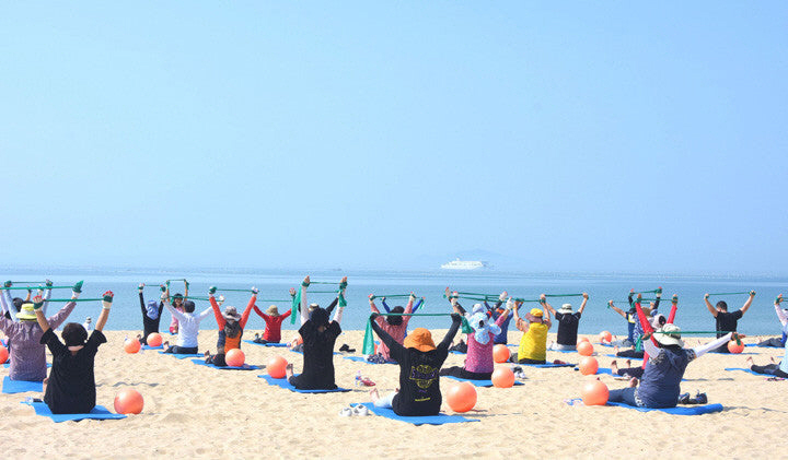 완도군
