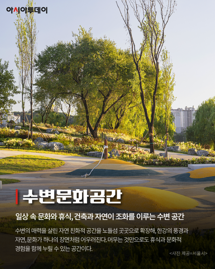카드 뉴스 이미지