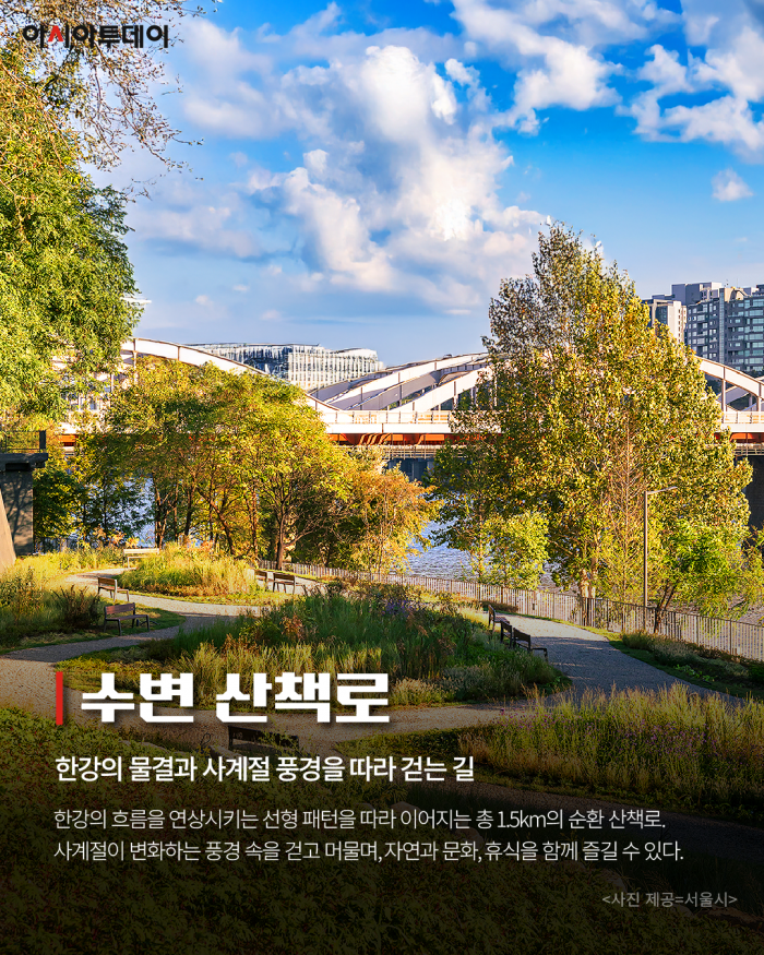 카드 뉴스 이미지