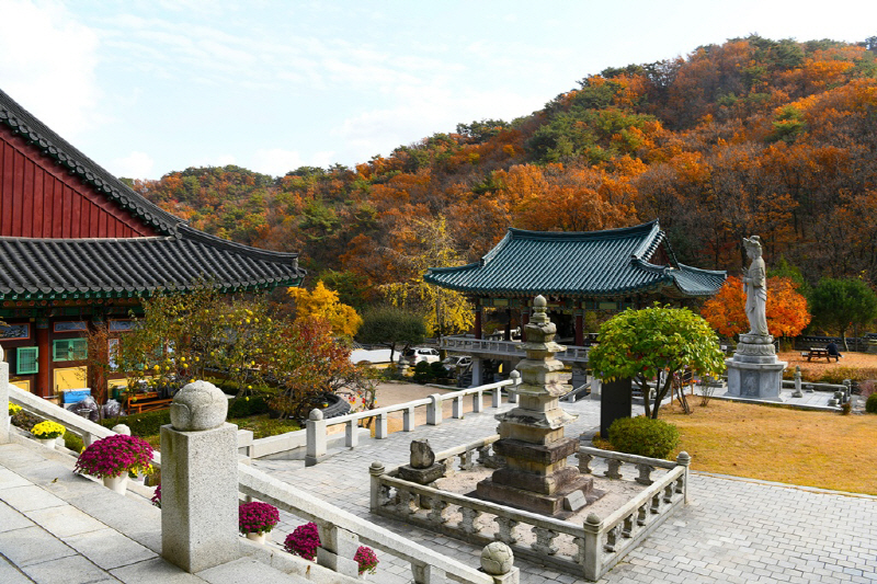 5.시민소통과([기획]추석 연휴 어디 갈까…의정부에서 만나는 가을 나들이 명소)8-회룡사