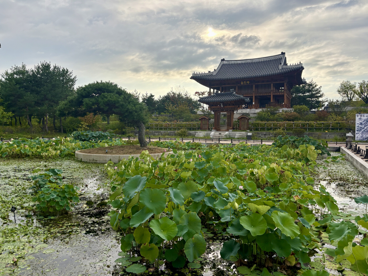 KakaoTalk_20260922_132144798