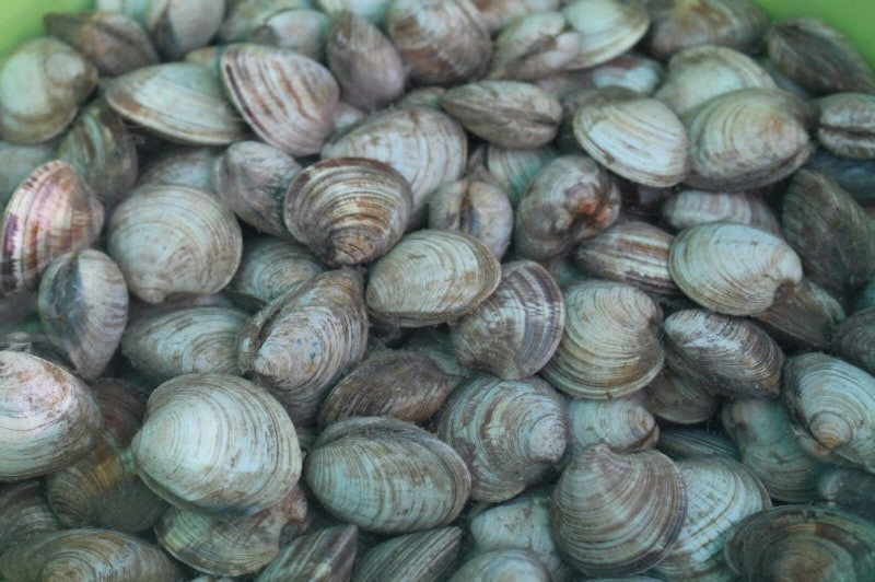 image01