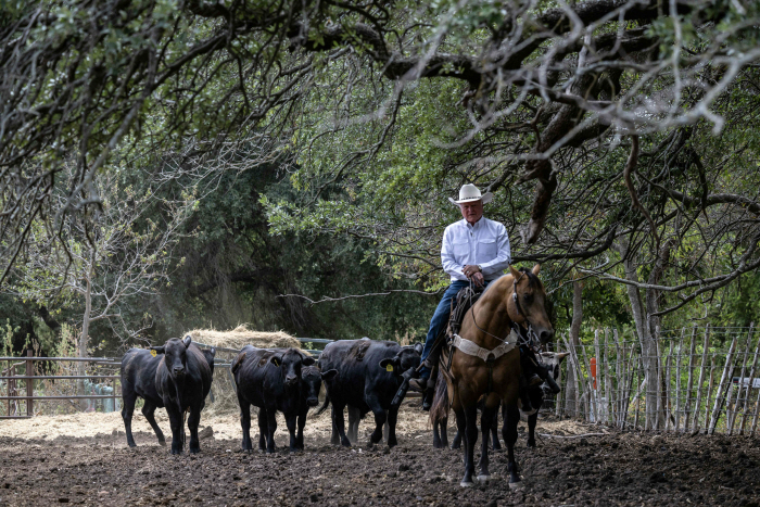 US-AGRICULTURE-ELECTION-TRADE-BEEF