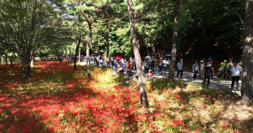 영광군