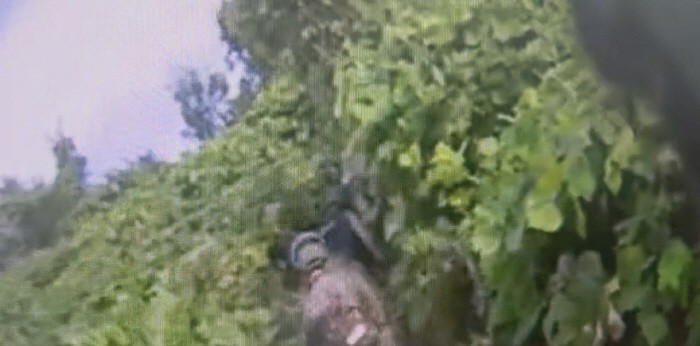 South Korean military weighs possibility of North Korean mine in DMZ blast