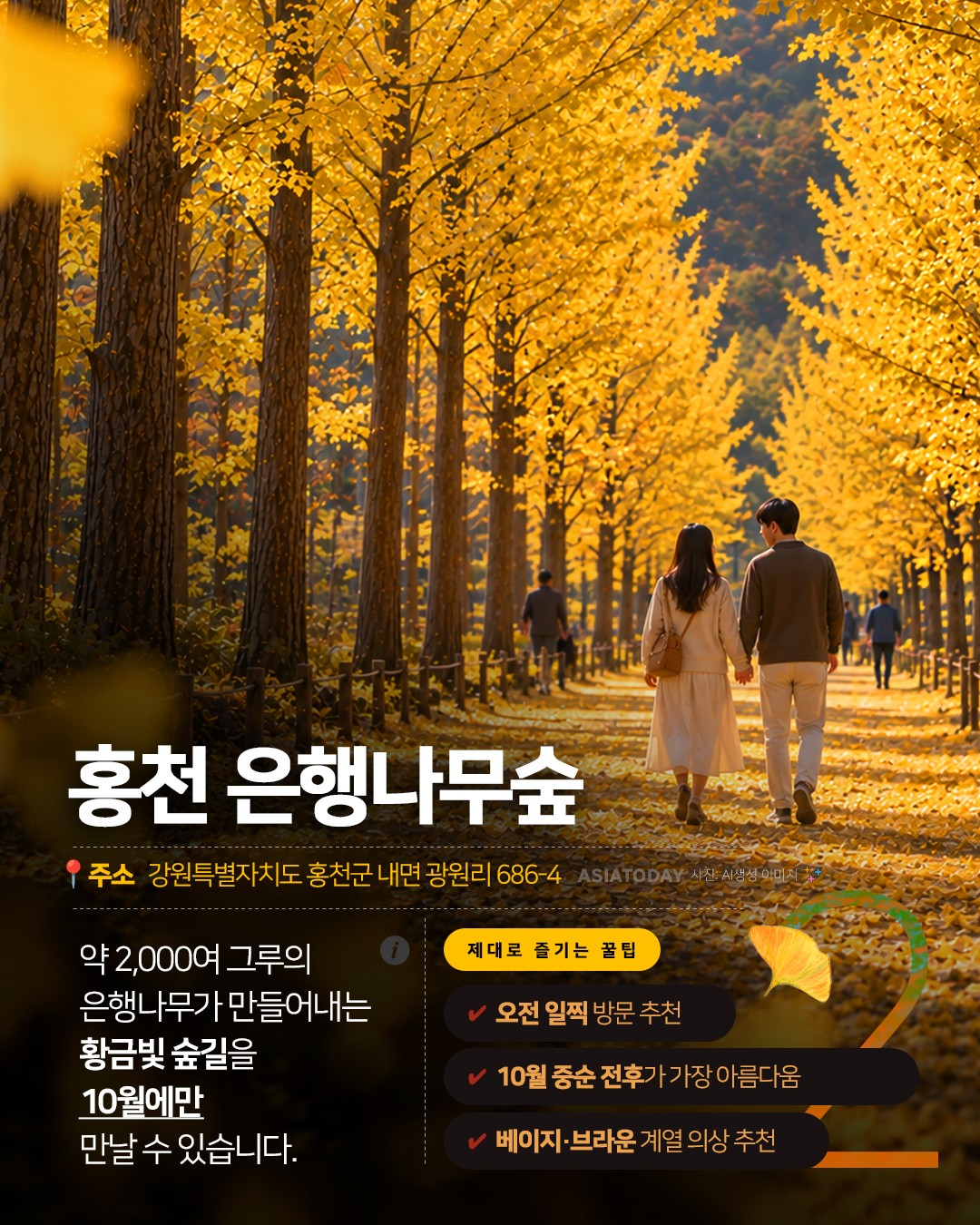 카드 뉴스 이미지