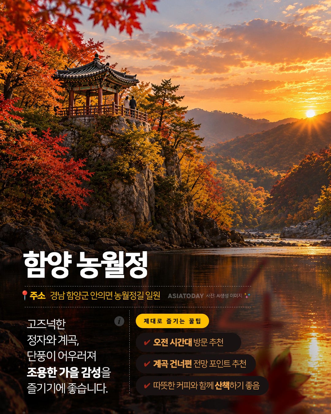 카드 뉴스 이미지