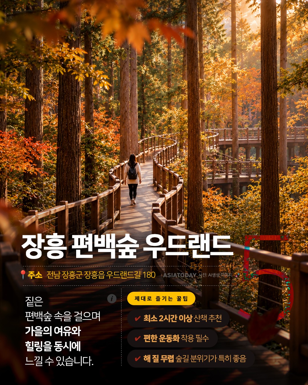 카드 뉴스 이미지